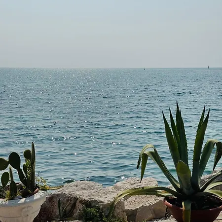 公寓 Kuca Za Odmor Romina